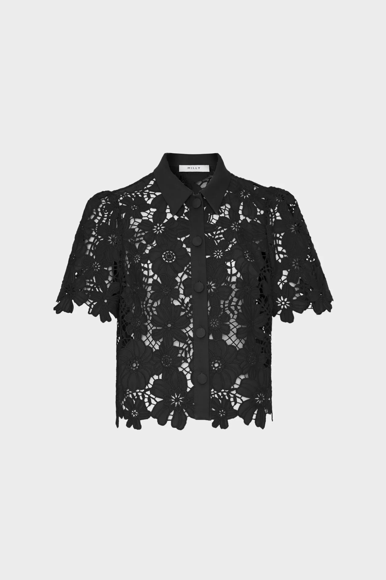 Addison Roja Lace Top Convertible Neckline