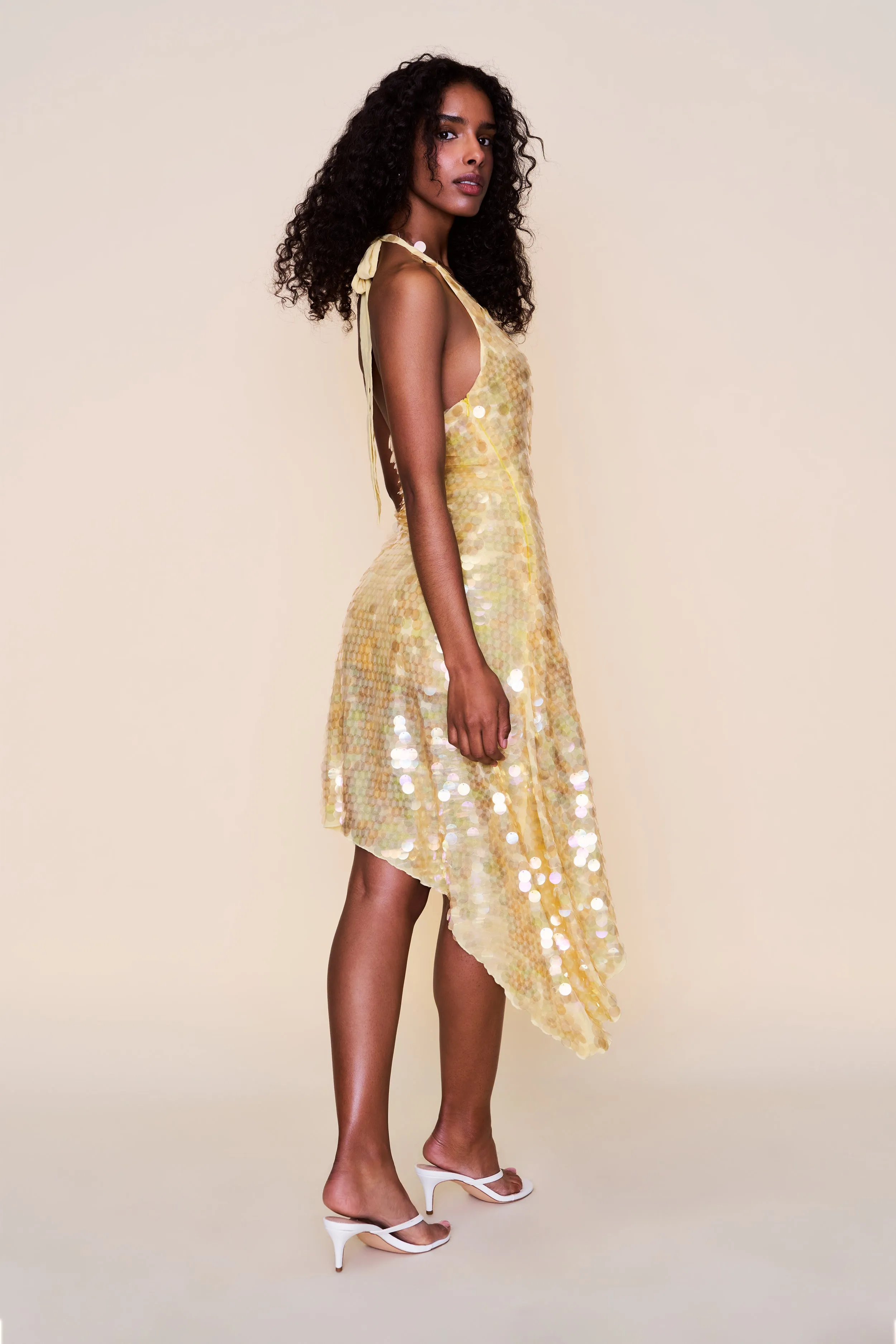 Sustainable-Lining Back-Zip Besora Sequin Dress