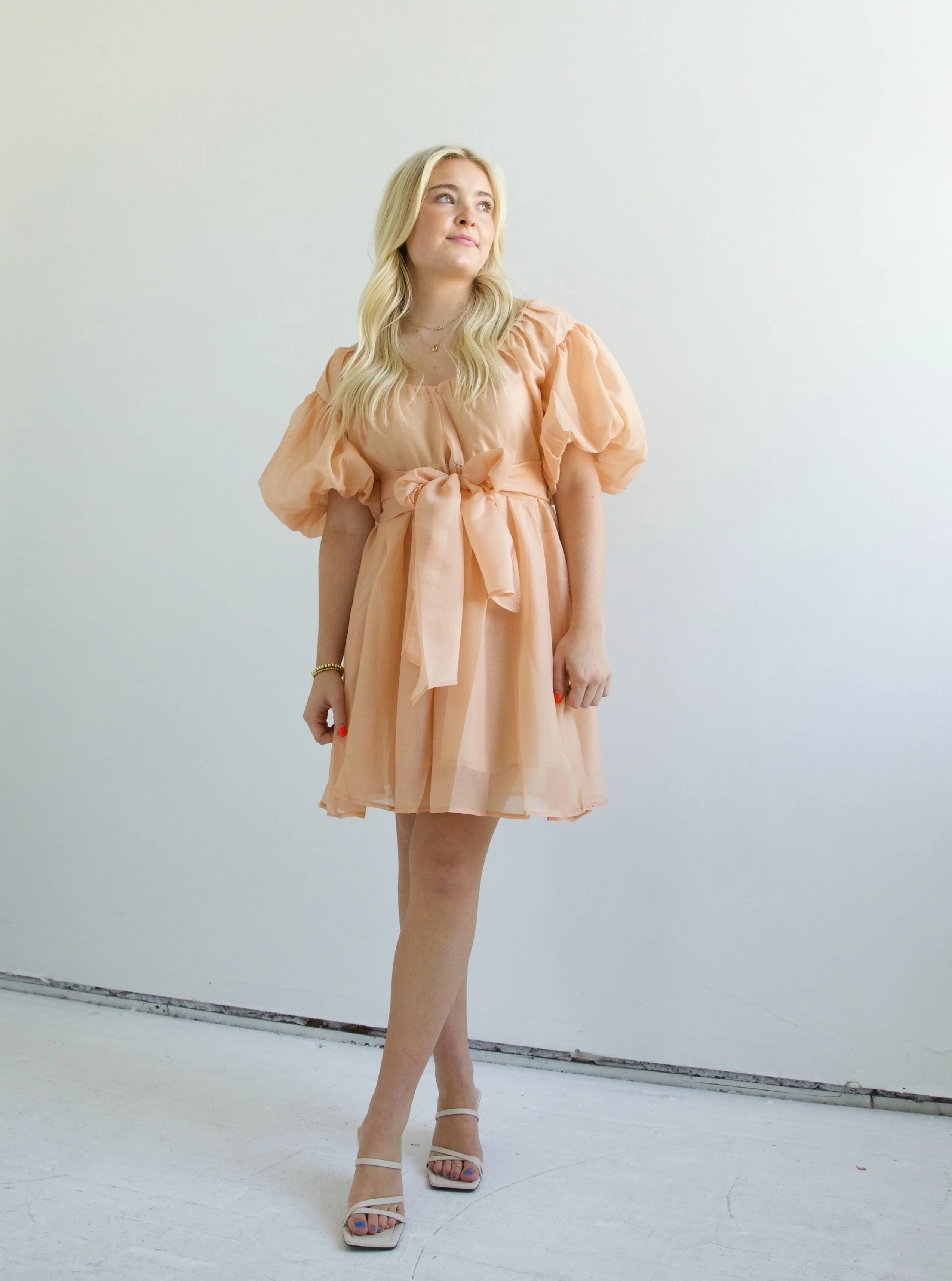 Lori Puff Sleeve Dress Shade Soft