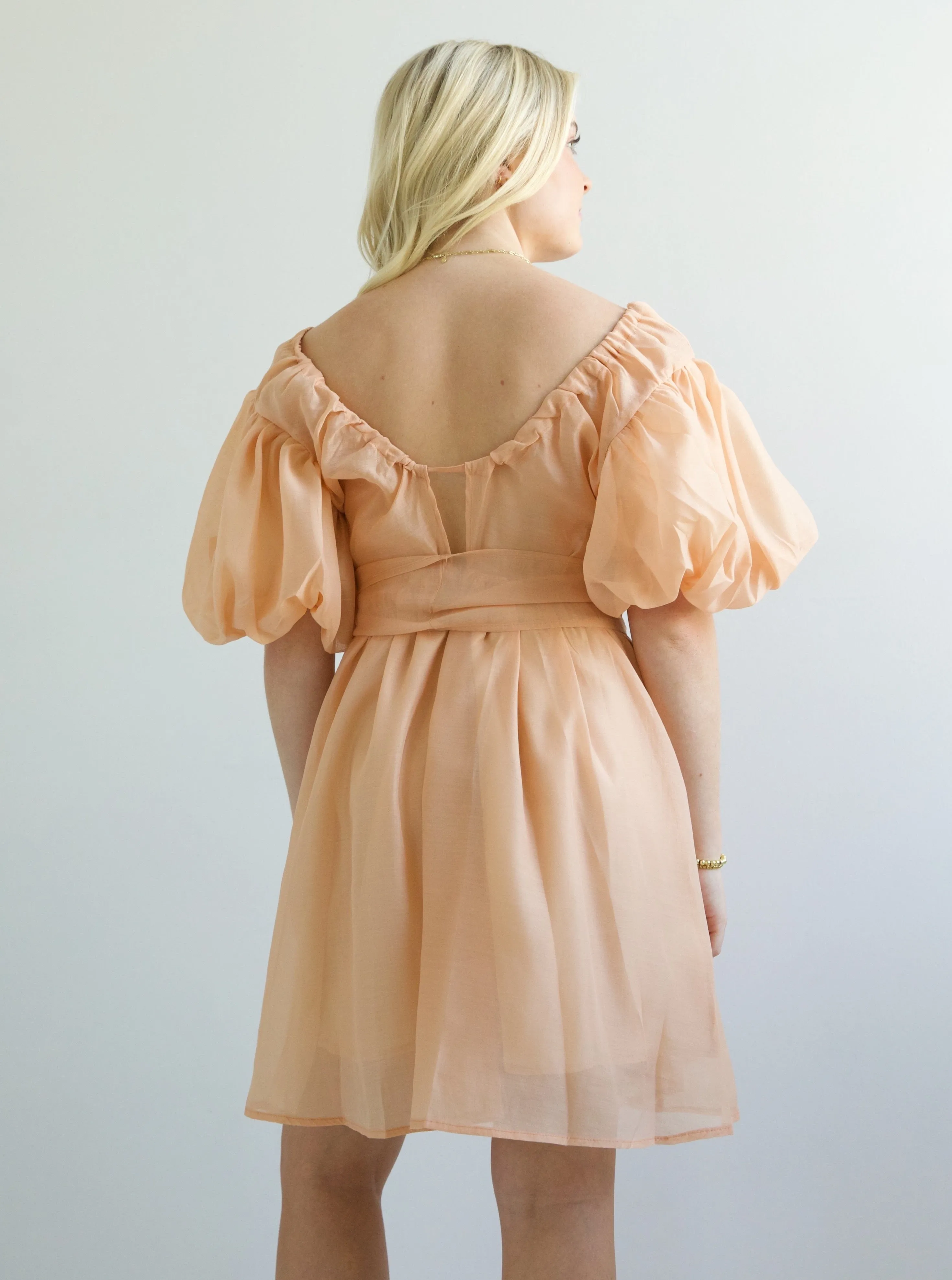 Timeless Piece Lori Puff Sleeve Dress