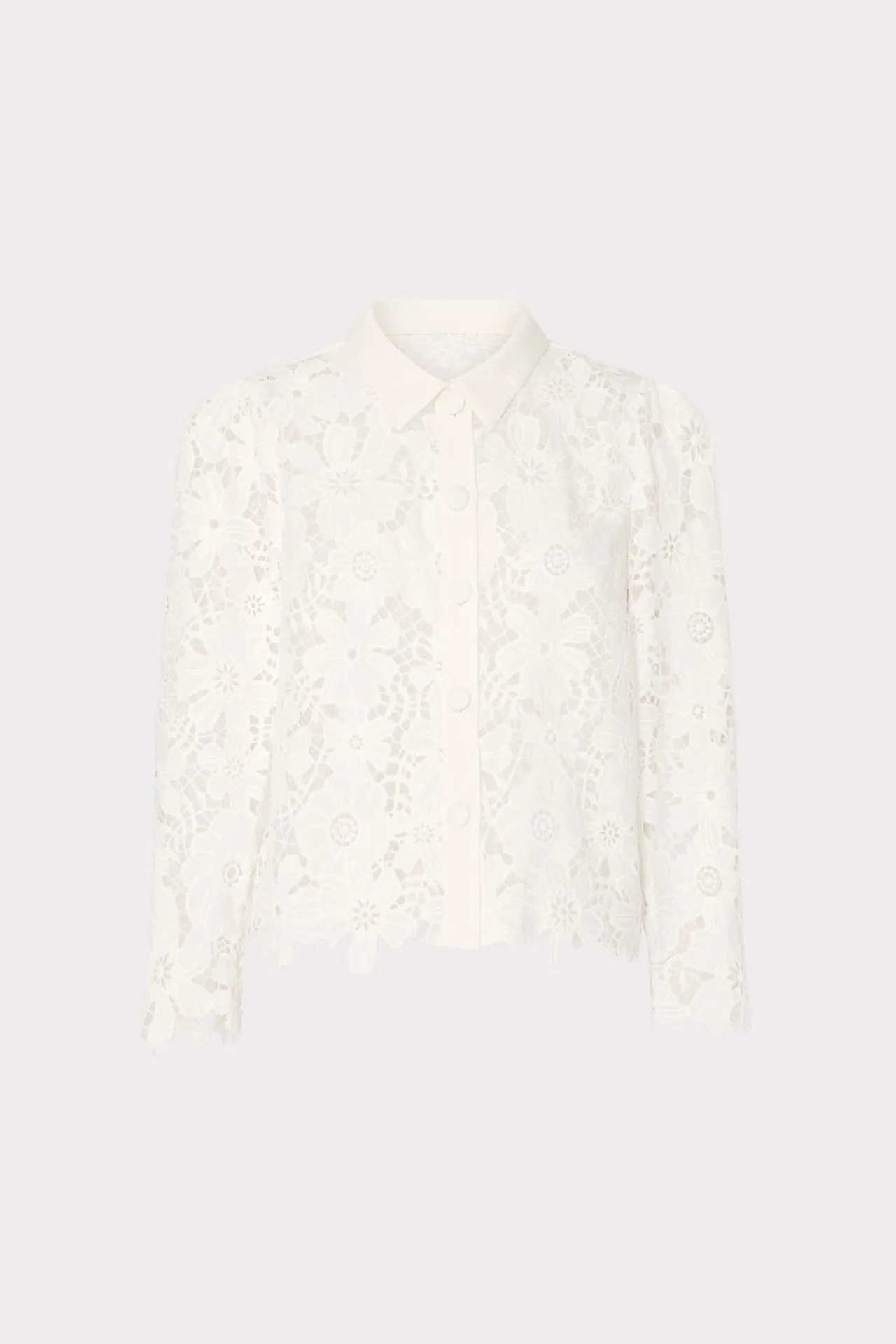 Compact TravelFriendly Design Fashion Statement June Roja Lace Top