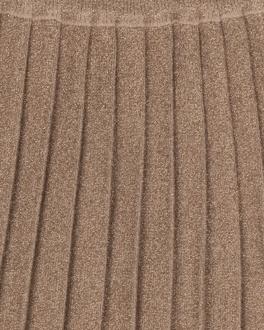 Smooth Look Cosmo Metallic Pleated Skirt