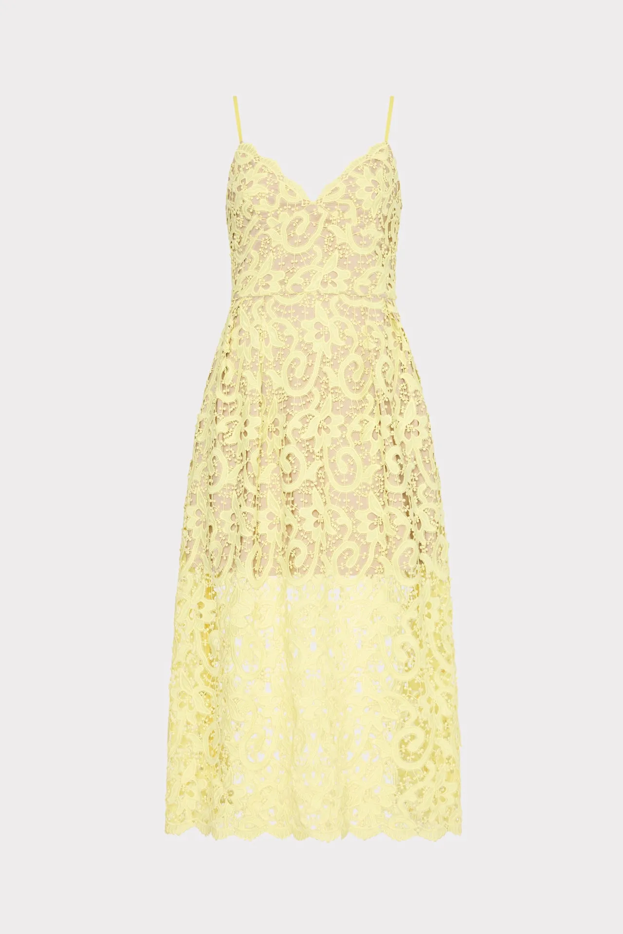 Lunch Date Formal dinner wear Elle Lace Midi Dress