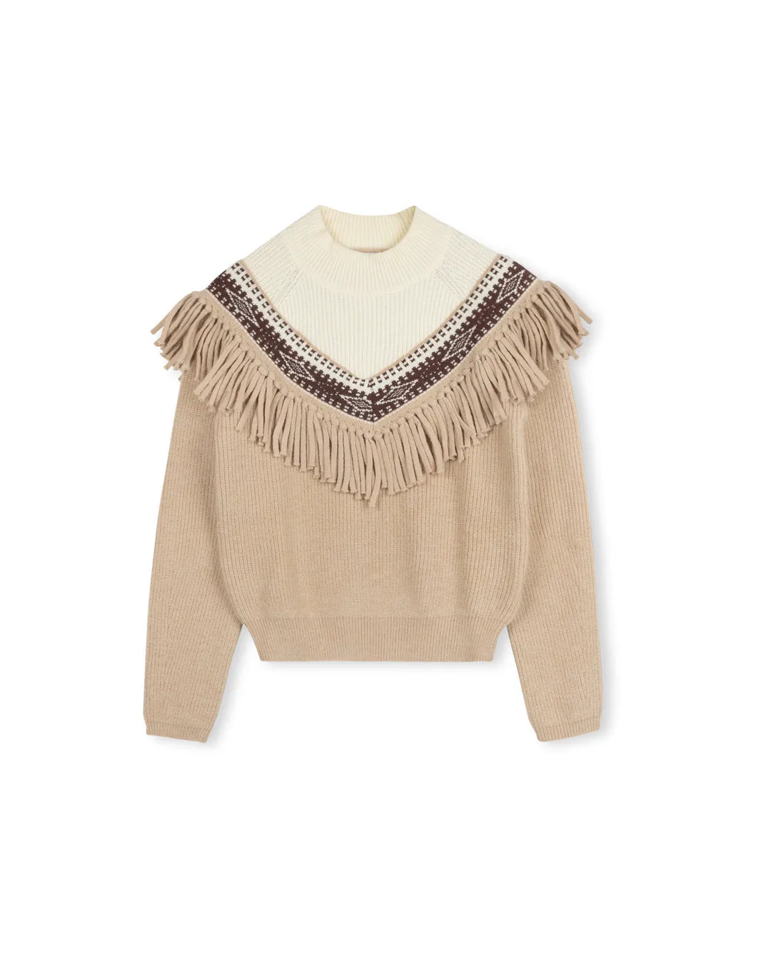 Warm & Soft Fringes V Detailed Knit Top