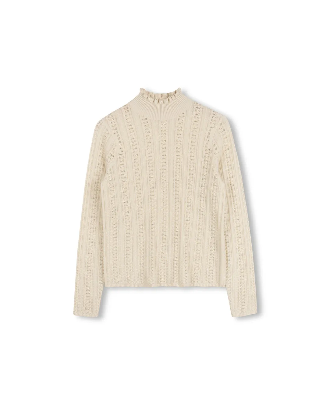 Dainty Detailed Turtleneck Essential layering piece