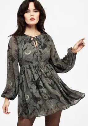 Scene Light Fast Life Gloriana Floral Print Chiffon Mini Dress