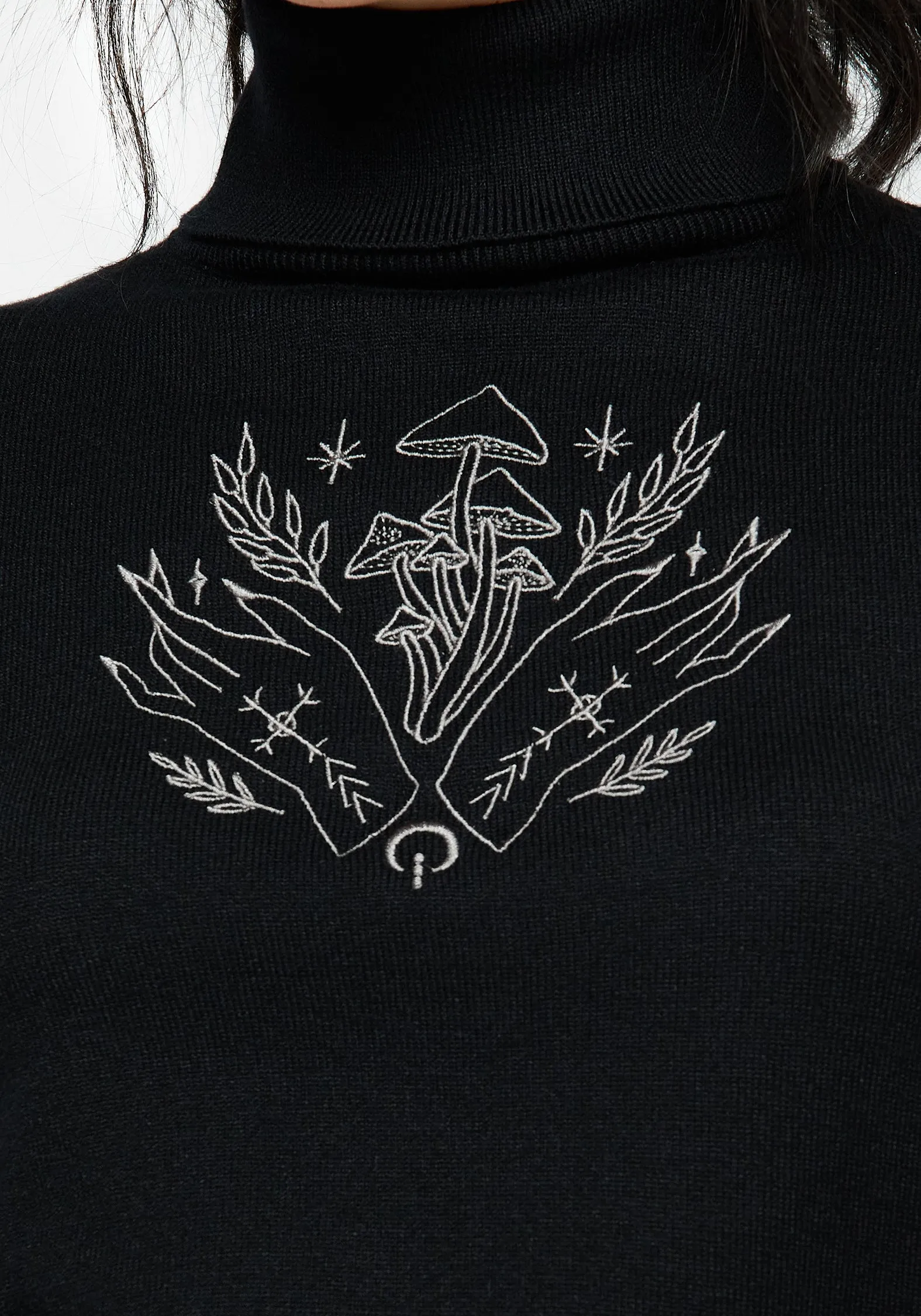 HeatTrapping Fibers Mystify Embroidered Roll Neck Crop Jumper