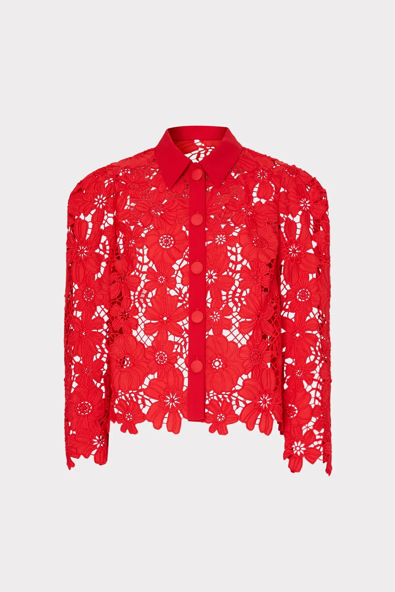 June Roja Lace Top Professional Cut