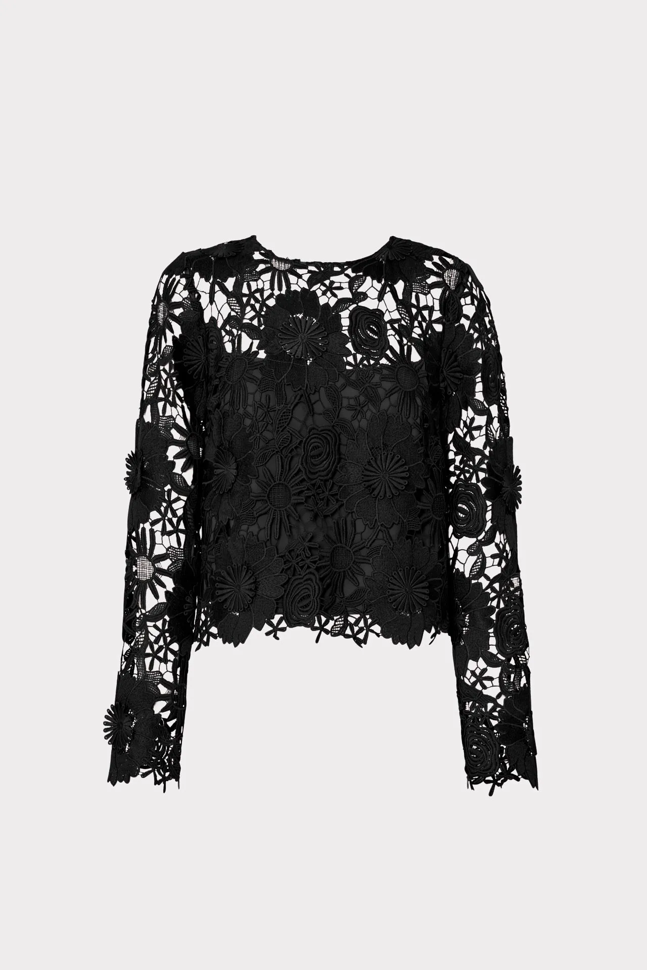 Nori Long Sleeve Lace Top Ribbed collar Basic Sweatshirt