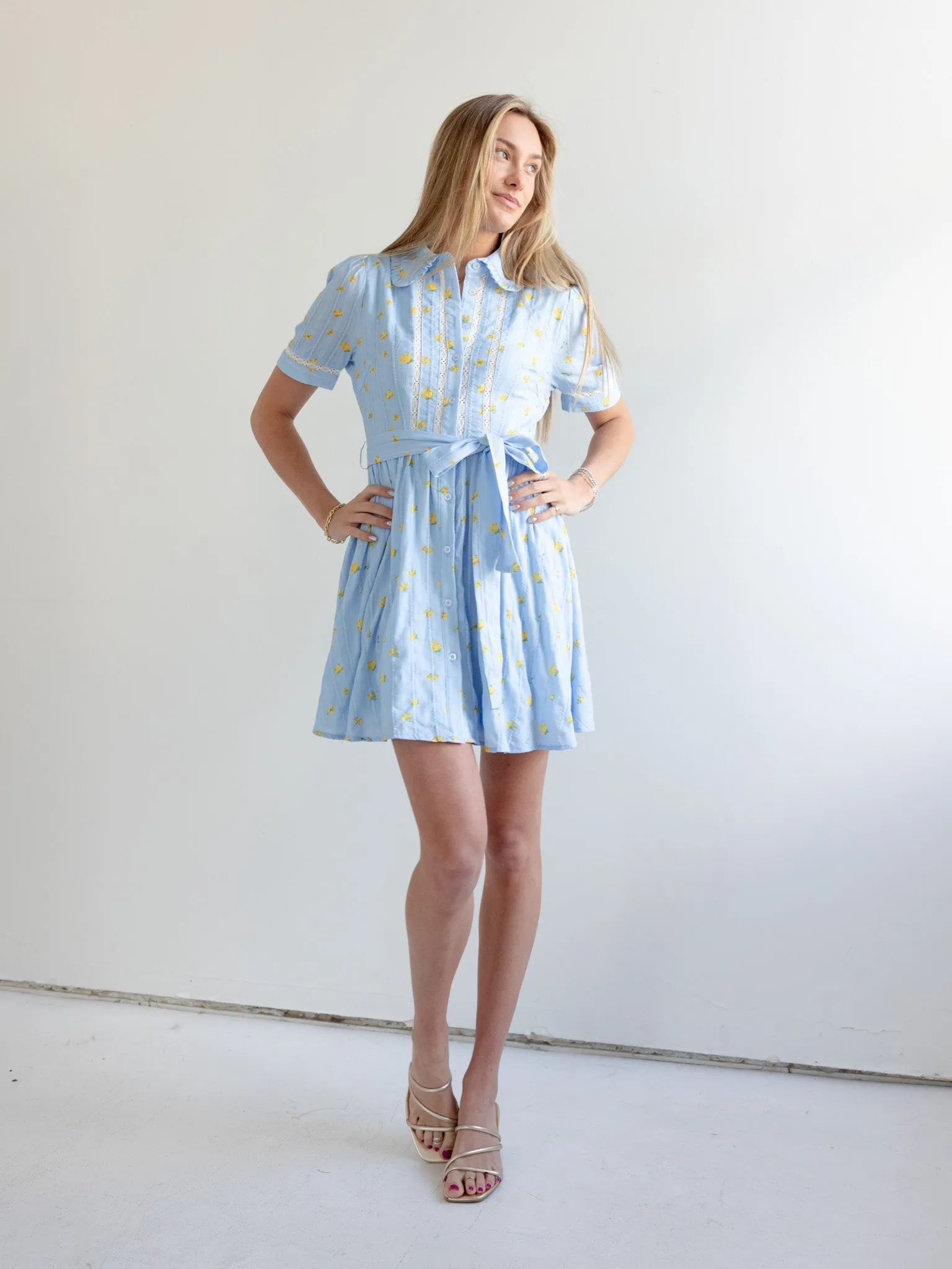 Madi Collared Mini Dress Urban Ease