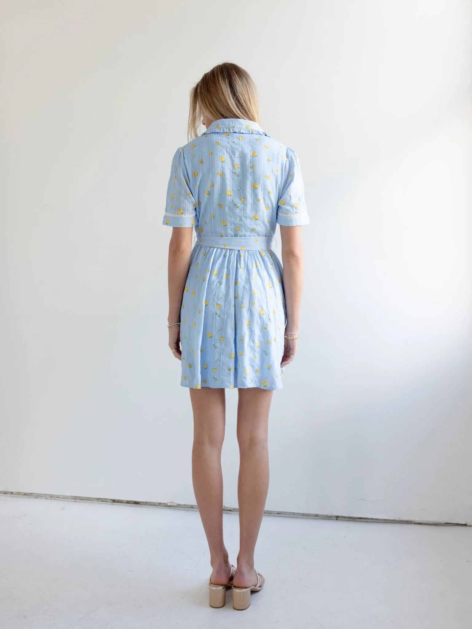 Simple yet chic gown Madi Collared Mini Dress