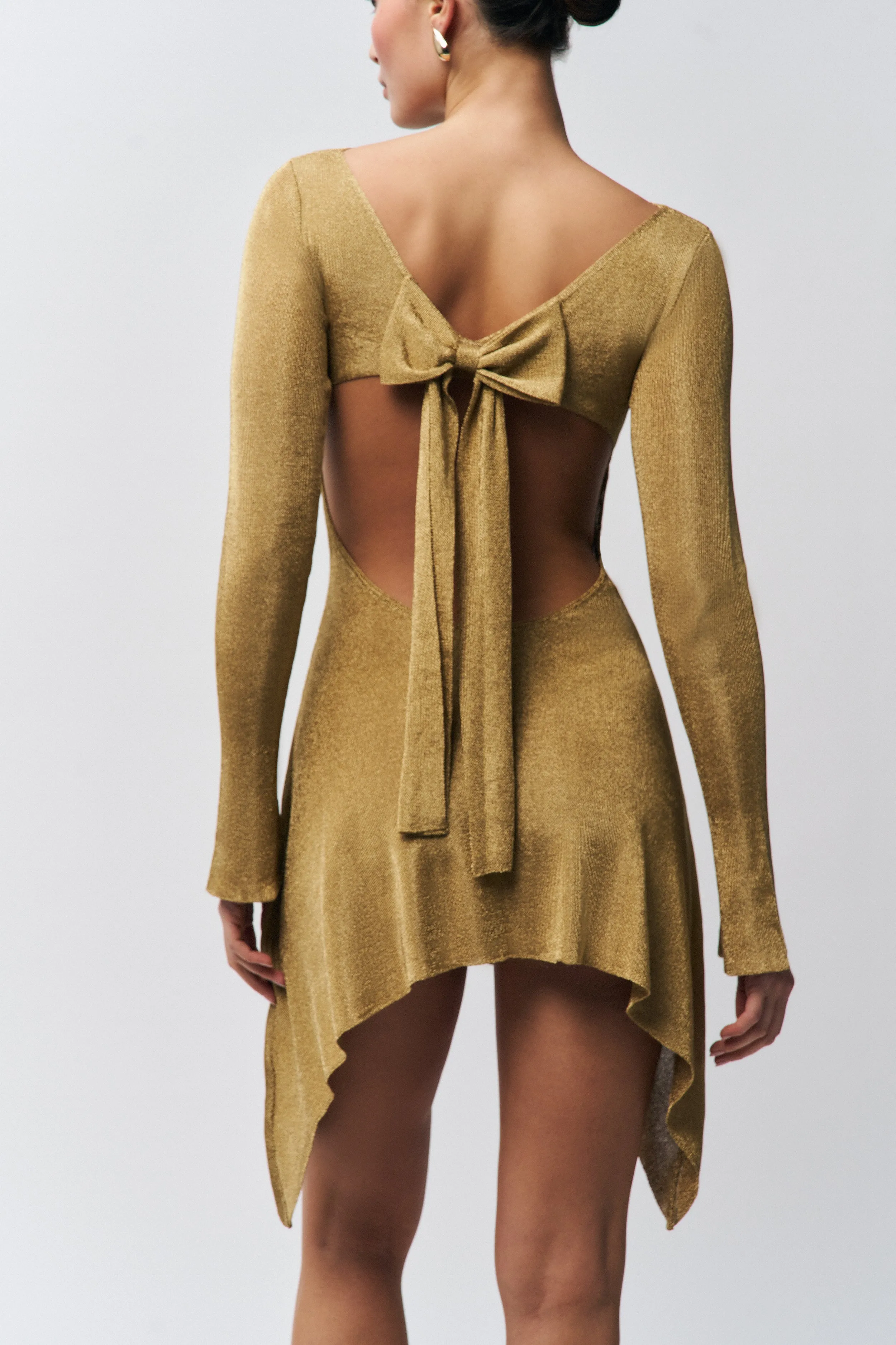 Fall Ready Rose Dress