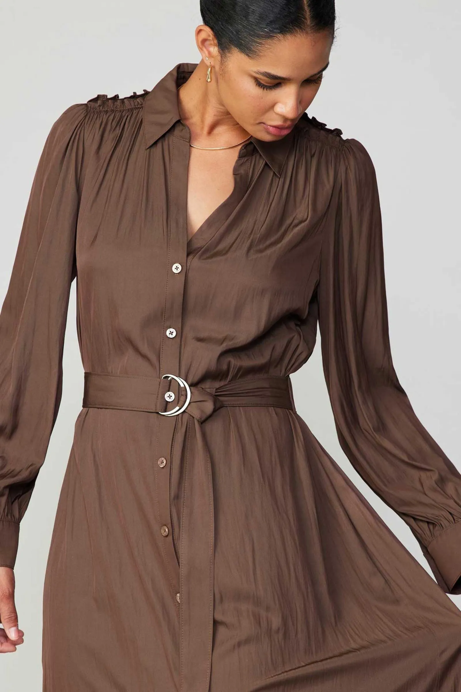 Transitional Style Leah Chocolate Dress