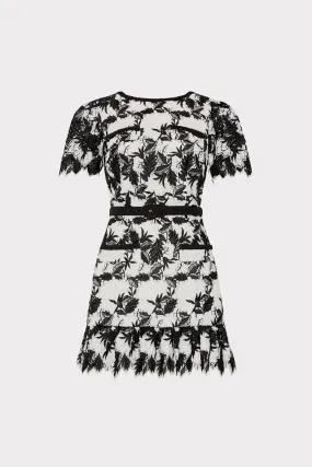 Paola Two Tone Lace Mini Dress Chilly Wear