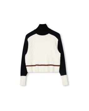 Lightweight Style Multi Colored Turtleneck