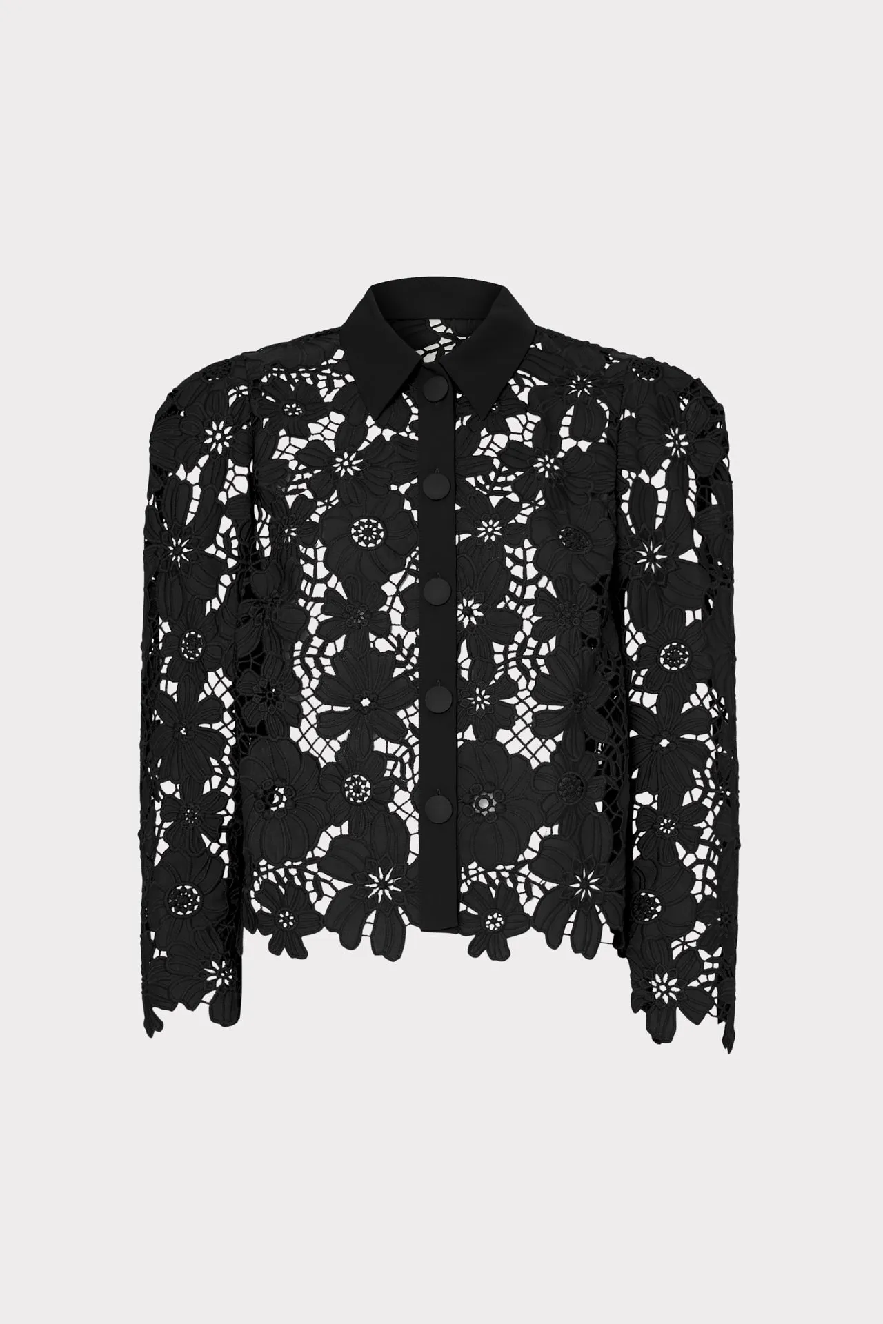 June Roja Lace Top Classic Crewneck Design