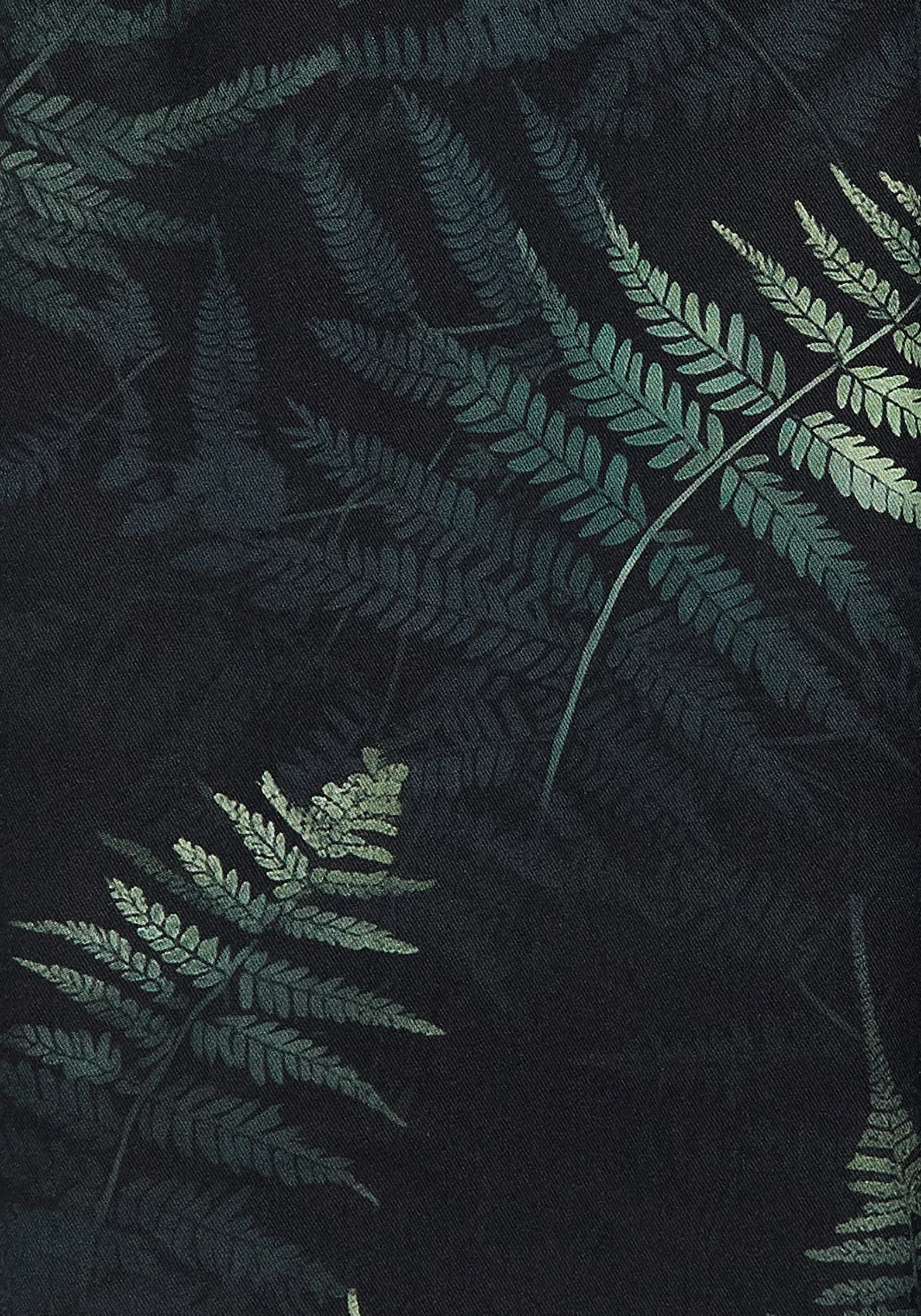 Fernery Midi Shirt Dress Seasonal Wear Versatile event piece